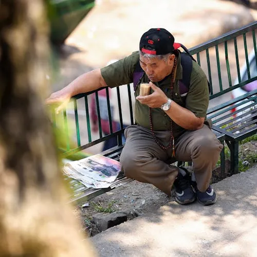 Tô Ngọc Hà avatar